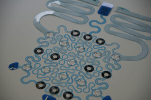 IceCap Disposable EEG Net